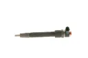 Bosch 0 445 110 251 - Injector
