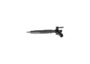 Bosch 0 445 116 024 - Injector