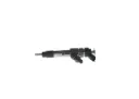 Bosch 0 445 120 002 - Injector